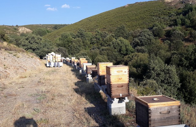 Apimonte City House B