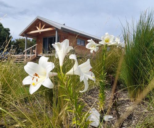 Āporo bach - a country retreat