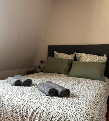 Appartement au coeur de Saumur - Chambre climatisée