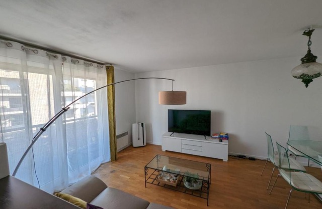 Appartement lumineux Seine, île St-Germain, proche Porte de Versailles et la Défense