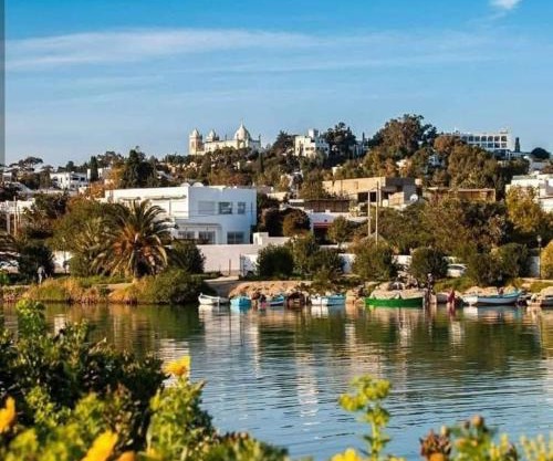 Appartement num3 Carthage byrsa