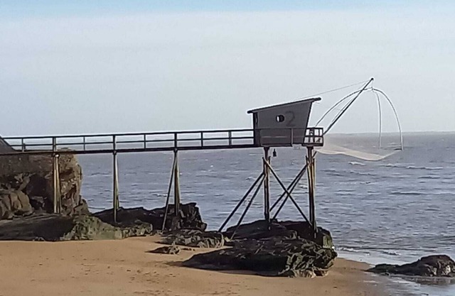Appartement T2 Avec Terrasse, Très Lumineux