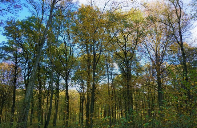 Ardennes : La ferme du crupet 30 persons