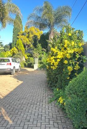 Artzy's Studio - 1km to Olivedale Clinic