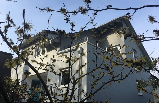 En casa entre Colonia y Düsseldorf