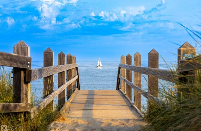 Attractive 8-person holiday farm near Domburg and close to the sea