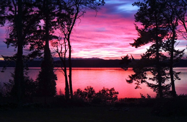 Cabaña Crabbin: incluye puestas de sol, bote de cangrejo, ollas de cangrejo, hoguera, bañera de hidromasaje y ...