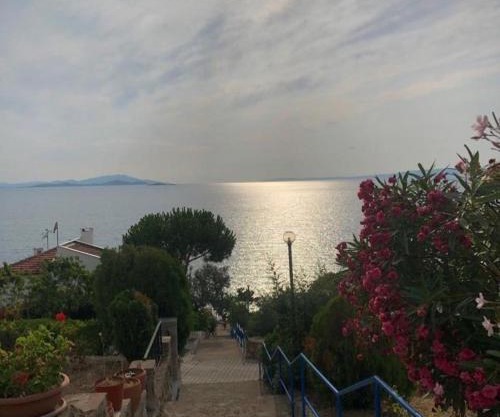 Ayvalık Gömeç Villa Garden Floor