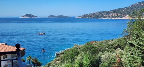 Azure Haven - A Seaside Retreat Surrounded by Nature