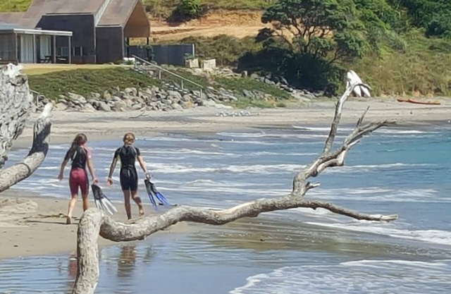 Bach at the beach - Situated at Taiharuru (east coast near Whangarei, Northland)