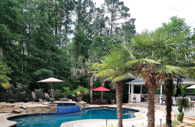 Backyard Oasis Grovetown pool