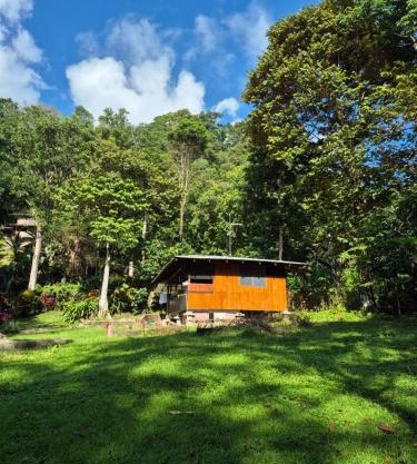 Barco Pirata-Beachfront jungle cabin