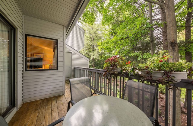 ☀ Cozy Country Lakeside Condo