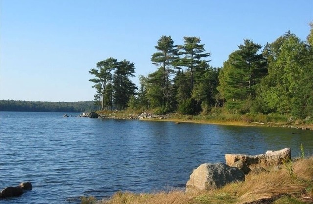 Bayside Shore Front Cottage cerca de Bar Harbor