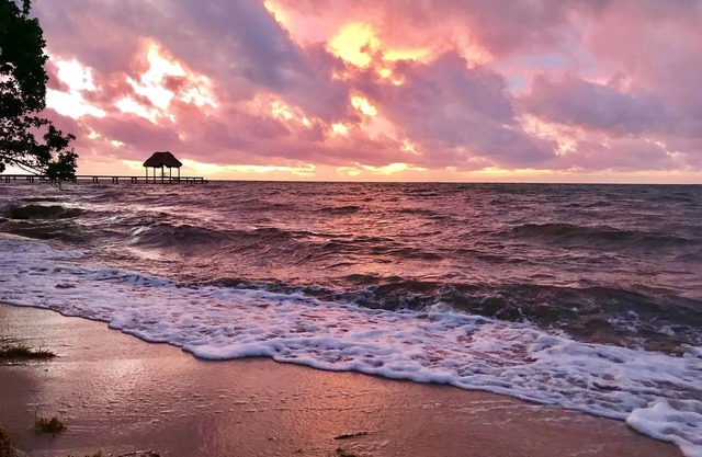 A estrenar-2 BEACHFRONT studios * ADULTS-ONLY * en una zona tranquila de plantaciones