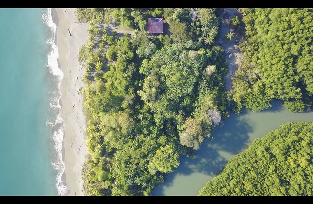 Casa de playa en un sitio fabuloso a 15 minutos de Puerto Jiménez