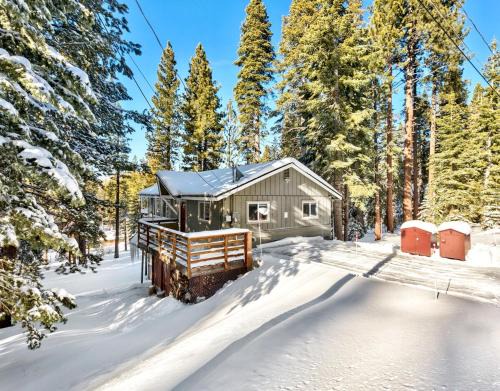 Bear Haus - Sledding At Cabin - Forest Views - Foosball