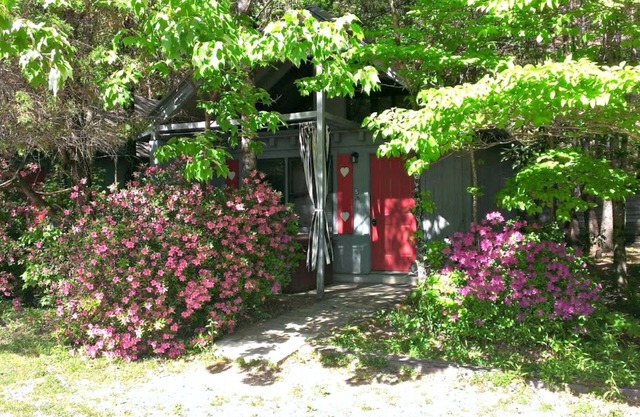 Bear Paw Cottage (# 6 King) Adorable; Bañera de hidromasaje; Se aceptan mascotas; 2 adultos / 2 niños máx.