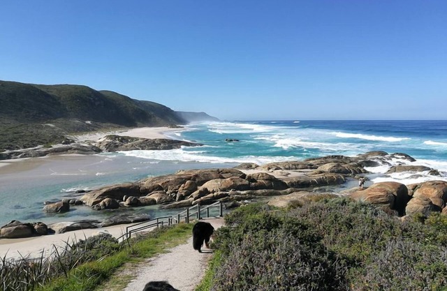 Guarida del Oso - un santuario pintoresco