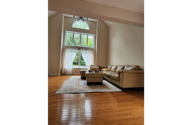 Beautiful and cozy forest facing, hidden in to trees spacious house promises joy