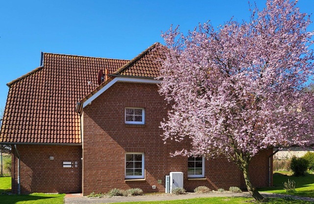 Acogedor apartamento para 4 personas con WIFI, TV, balcón y mascotas permitida