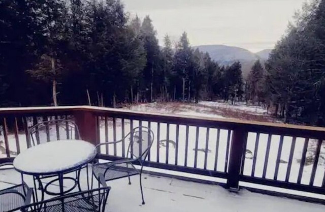 Beautiful chalet, mins to Hunter/Windham slopes