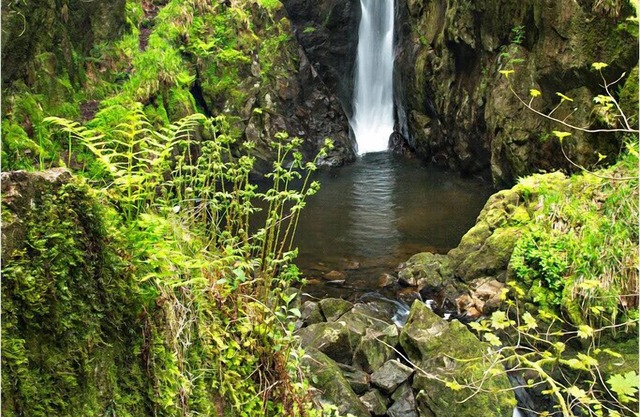 Hermosa cabaña, vistas espectaculares - Se admiten mascotas, wifi, cielo, jardín cerrado