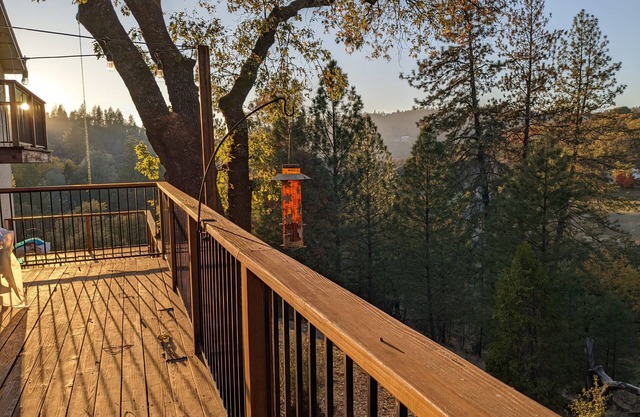 Estrella de carga dorada equina BNB