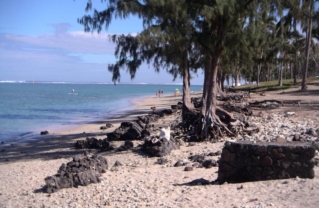 beautiful studio 150m from the beach