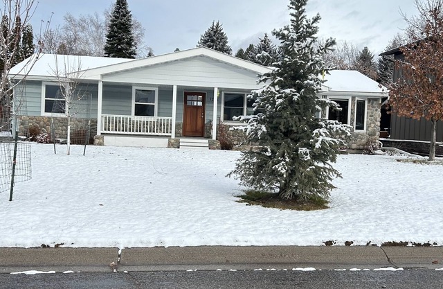 Beautiful Winter Wonderland