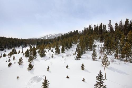 Beaver Run Resort 4516 by Great Western Lodging