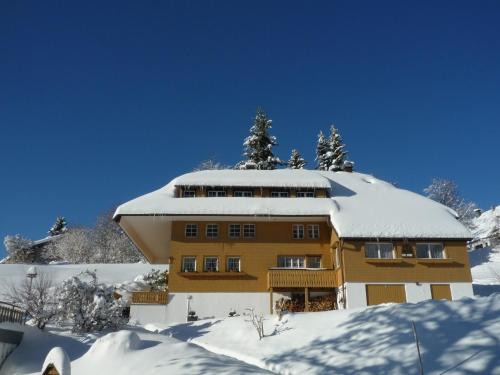 Berghof Almzeit - Fewo "Hüsli", Sauna, Todtnauberg, Feldberg