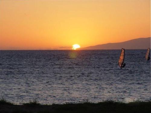 Best Deal and Epic Location 2bd 2BA Ocean View
