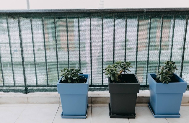 Best House, Deck Aprtm., Old Port of Patras