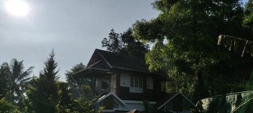 Birdsparadiseirumpupalam