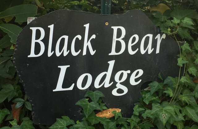 Glenn Acres Black Bear Creekside Cottage- Montañas-Pintoresco-Tranquilo-Relajante