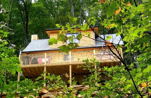 Black 'Beary' Cabin, un increíble refugio de vacaciones