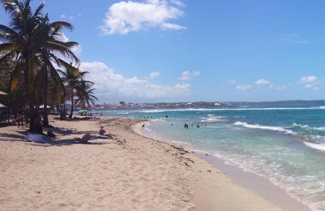 Blue and coral apartment