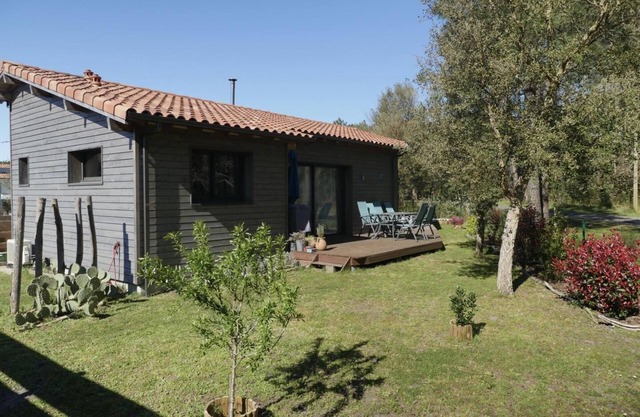 BLUE DRAGONFLY - AZURE