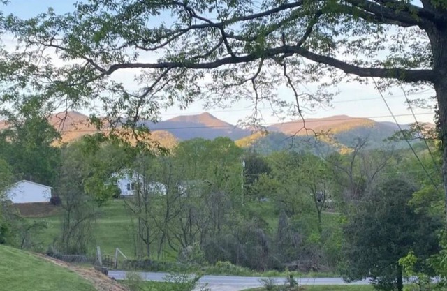 Blue Ridge Mountain Cottage close to everything Asheville has to offer.