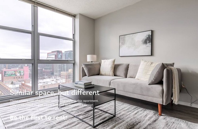 Blueground | West Loop Gate, rooftop, nr Union Park