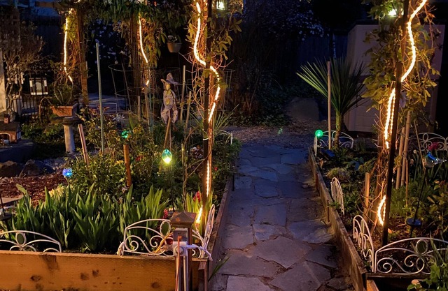 Boston Harbor Garden Studio Apartment Near Marina