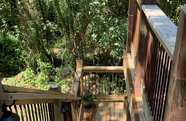 Brand new quiet and secluded, upstairs apartment with full amenities and deck.