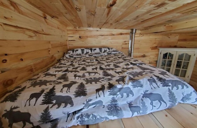 Bright and Cozy Tiny Pine House