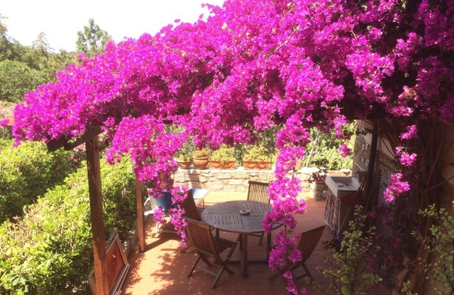 Buganville apartment