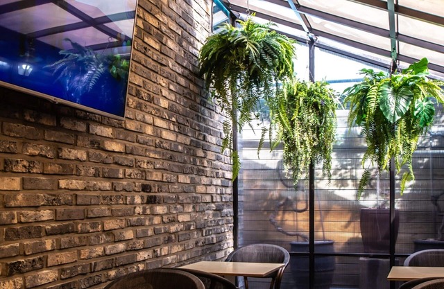 Busan Yeonsan Togok Brown Dot