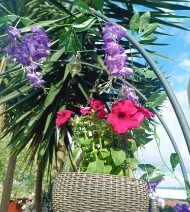 Cávado Terrace Studio