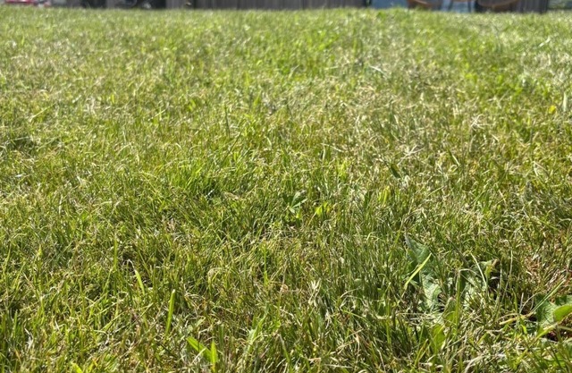 Cabañas Camiño do Mar