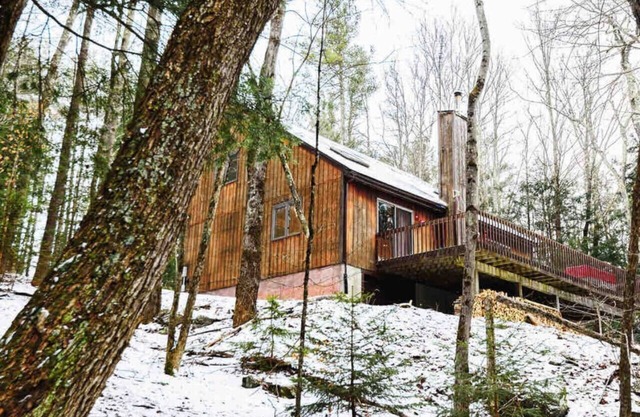 Cabin 10 Minutes to ski Hunter&Windham, Sleeps 6