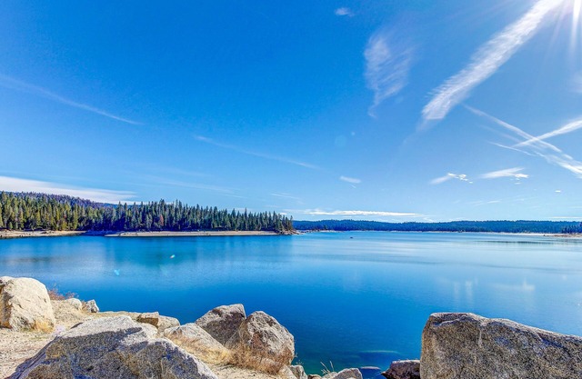 Cabina para perros con amplio patio, estufa de leña, sala de juegos y mucho más.